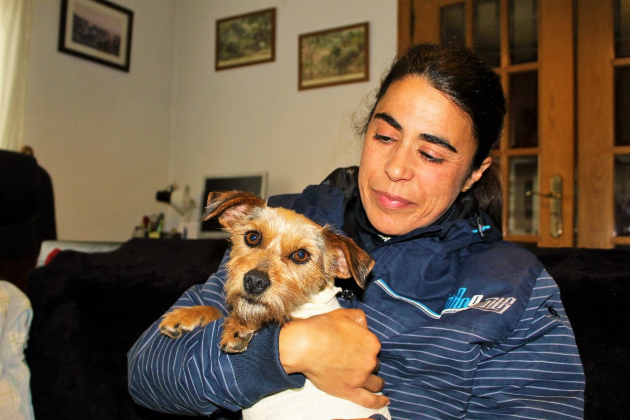 "Tudo, aceito tudo relacionado com cães, desde que seja de boa vontade."