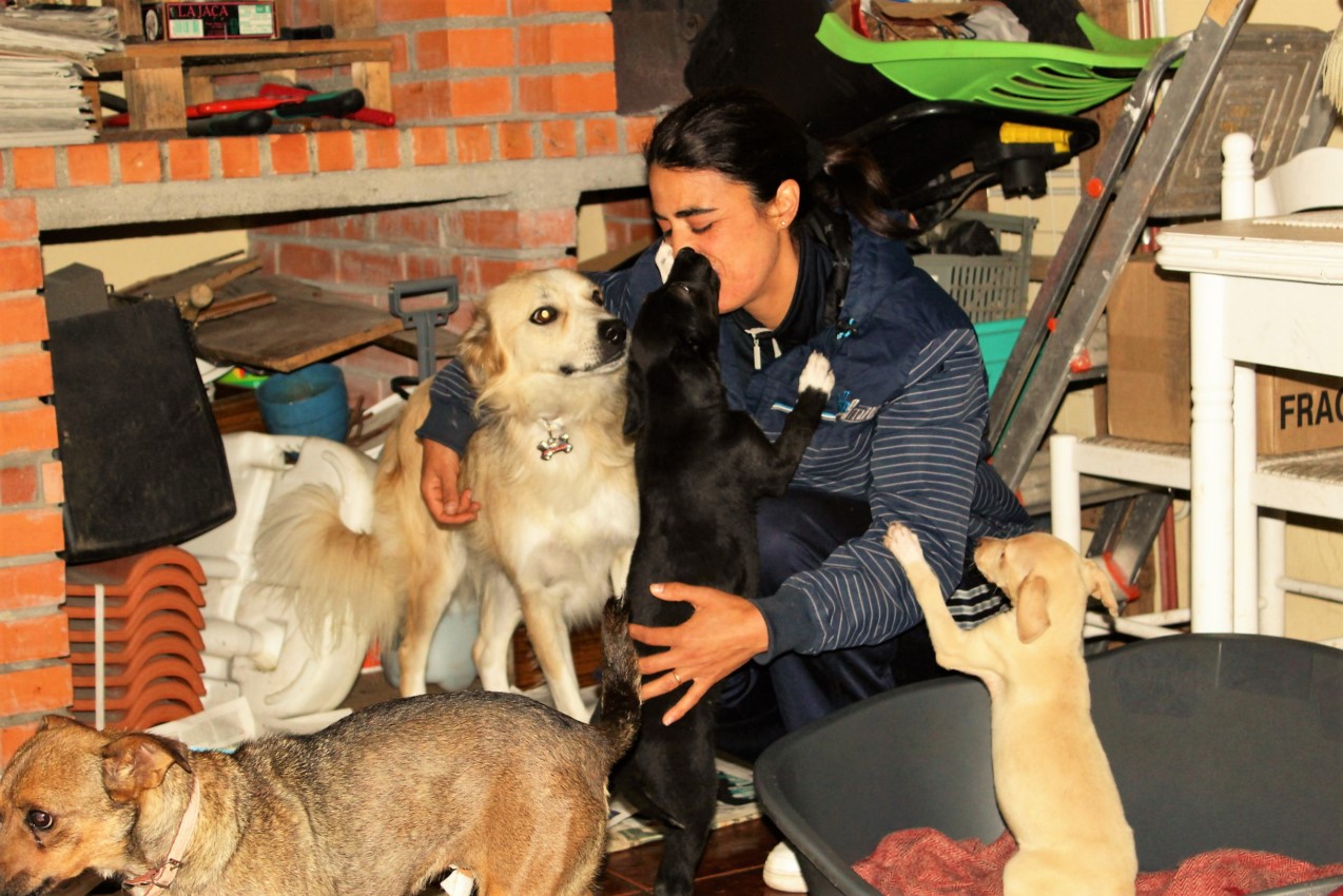 A relação de confiança que Margarida tem com os animais é mais que visível. 